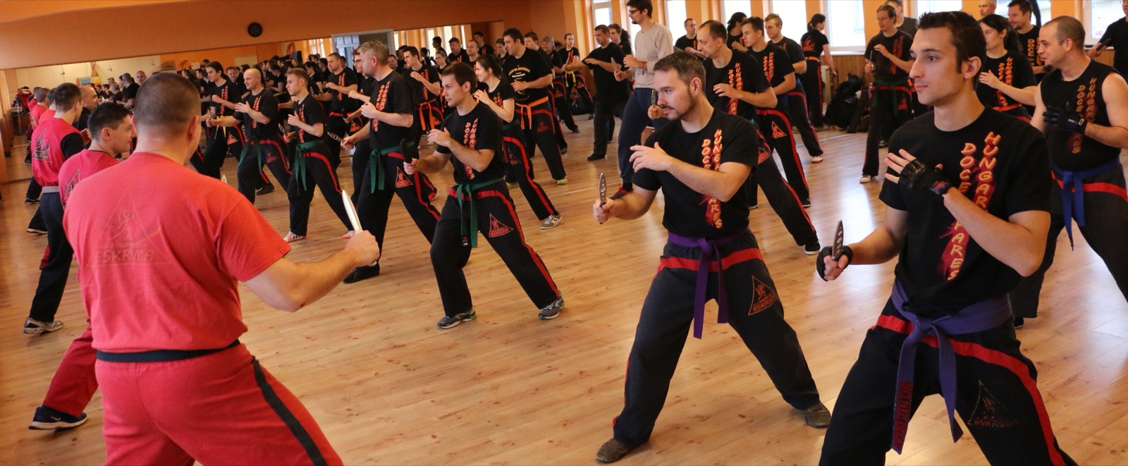 Stage d’Eskrima — nombreux pratiquants au bâton